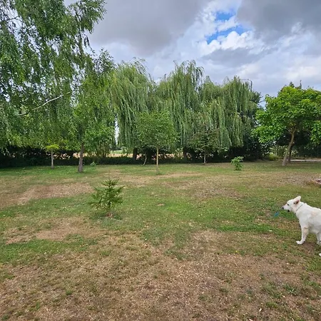 ゲストハウス Burg Schleibnitz Bei 3*