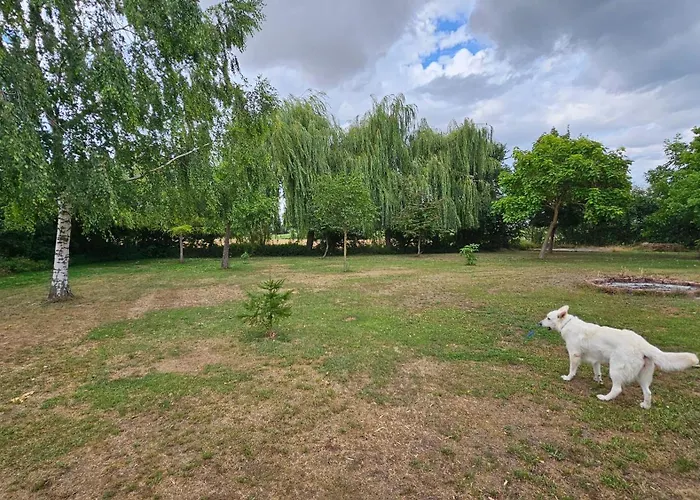 ゲストハウス Burg Schleibnitz Bei 3*